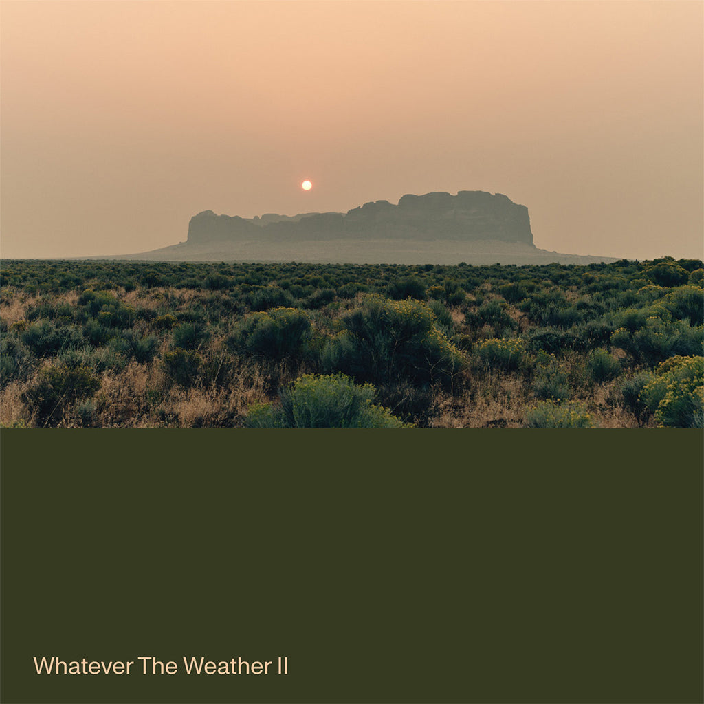 WHATEVER THE WEATHER - Whatever The Weather II - LP - Dark Green Vinyl [MAR 14]