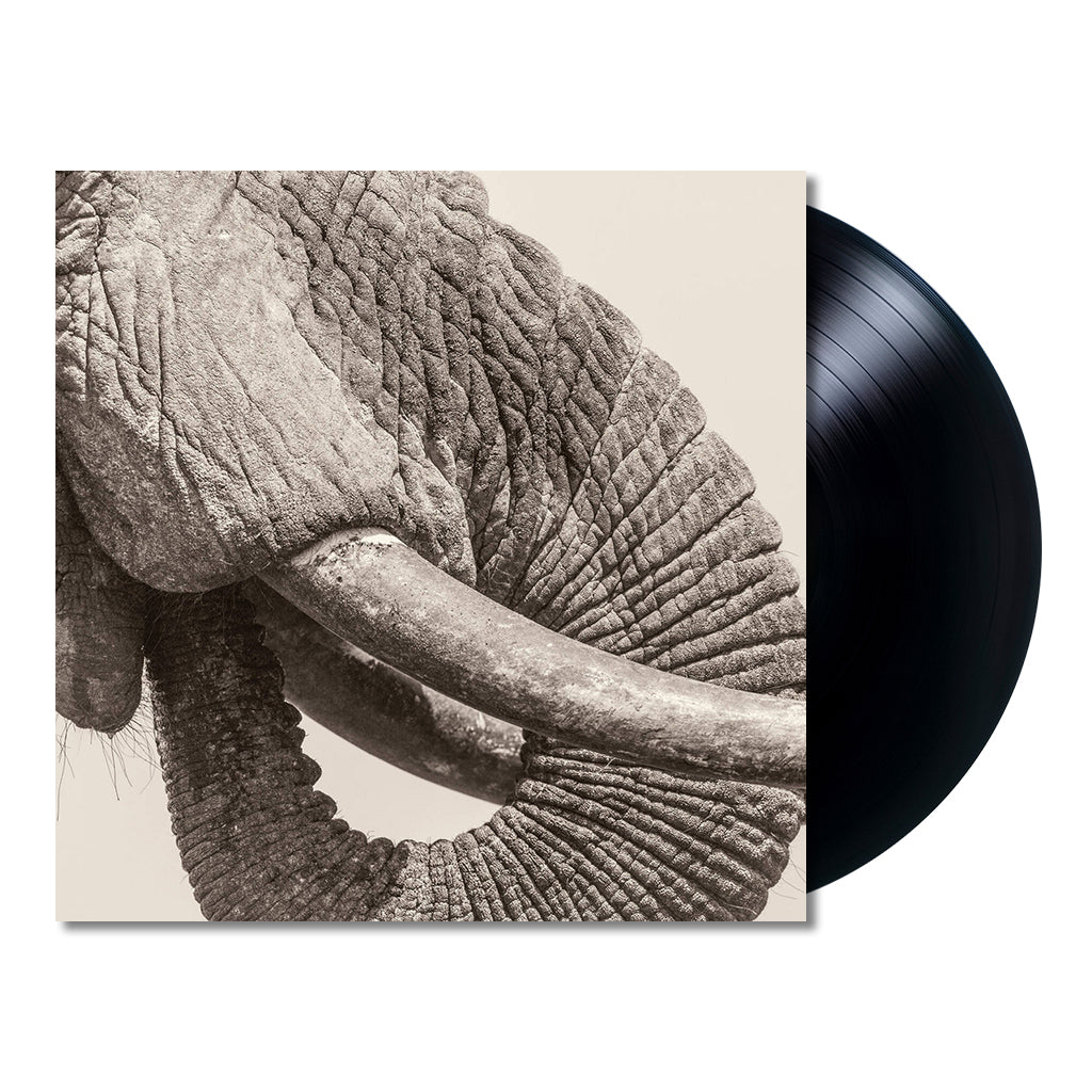 WHITE ELEPHANT - World Elephant Day - LP - Vinyl [FEB 20]