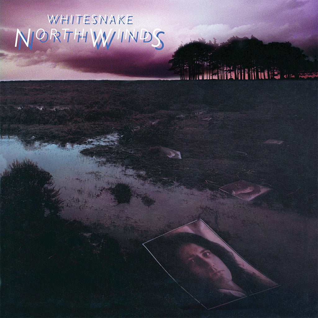 WHITESNAKE - Northwinds (Remixed) [Rocktober 2024] - LP - Black Ice Vinyl [OCT 11]