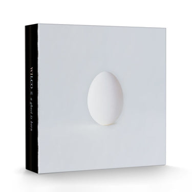 WILCO - A Ghost Is Born (20th Anniversary Deluxe Edition with Book) - 9LP - Black Vinyl + 4CD - Box Set