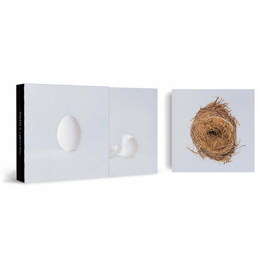 WILCO - A Ghost Is Born (20th Anniversary Deluxe Edition with Book) - 9LP - Black Vinyl + 4CD - Box Set