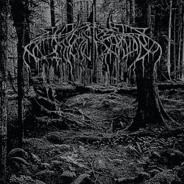 WOLVES IN THE THRONE ROOM - 2005 Demo (Anniversary Reissue) - LP - Black Ice Vinyl