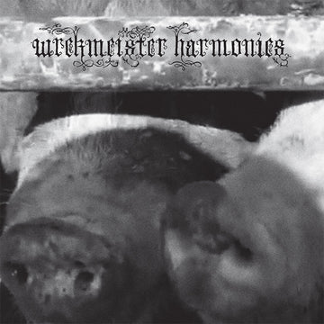 WREKMEISTER HARMONIES - Flowers In The Spring - LP - Vinyl [FEB 21]