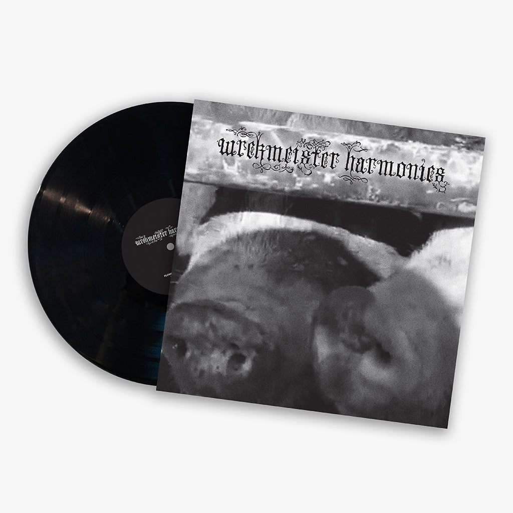 WREKMEISTER HARMONIES - Flowers In The Spring - LP - Vinyl [FEB 21]