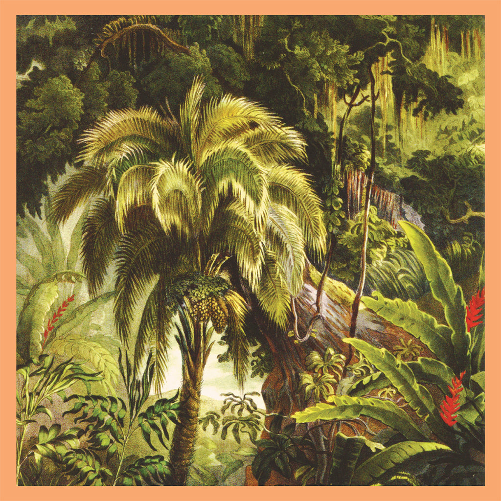 XIU XIU - La Forêt (2024 Reissue) - LP - Sunset Swirl Vinyl [JAN 26]