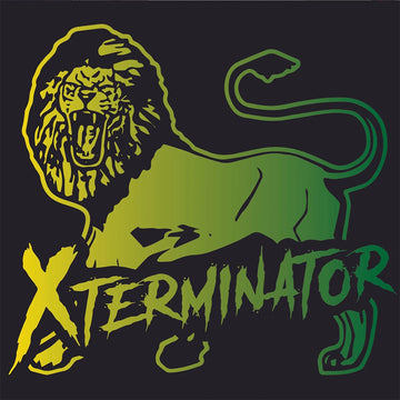 XTERMINATOR - Xstory - 2LP - Vinyl [NOV 15]