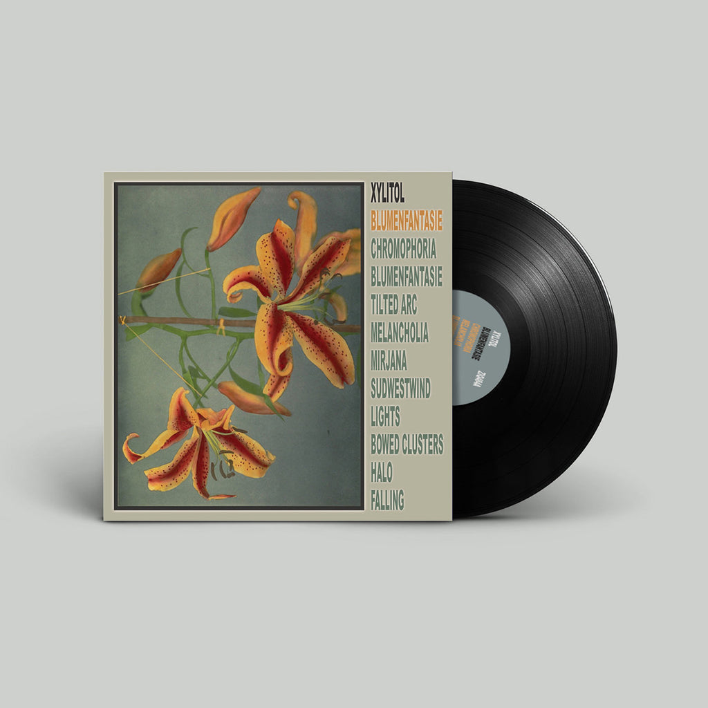 XYLITOL - Blumenfantasie - LP - Vinyl [MAR 20]