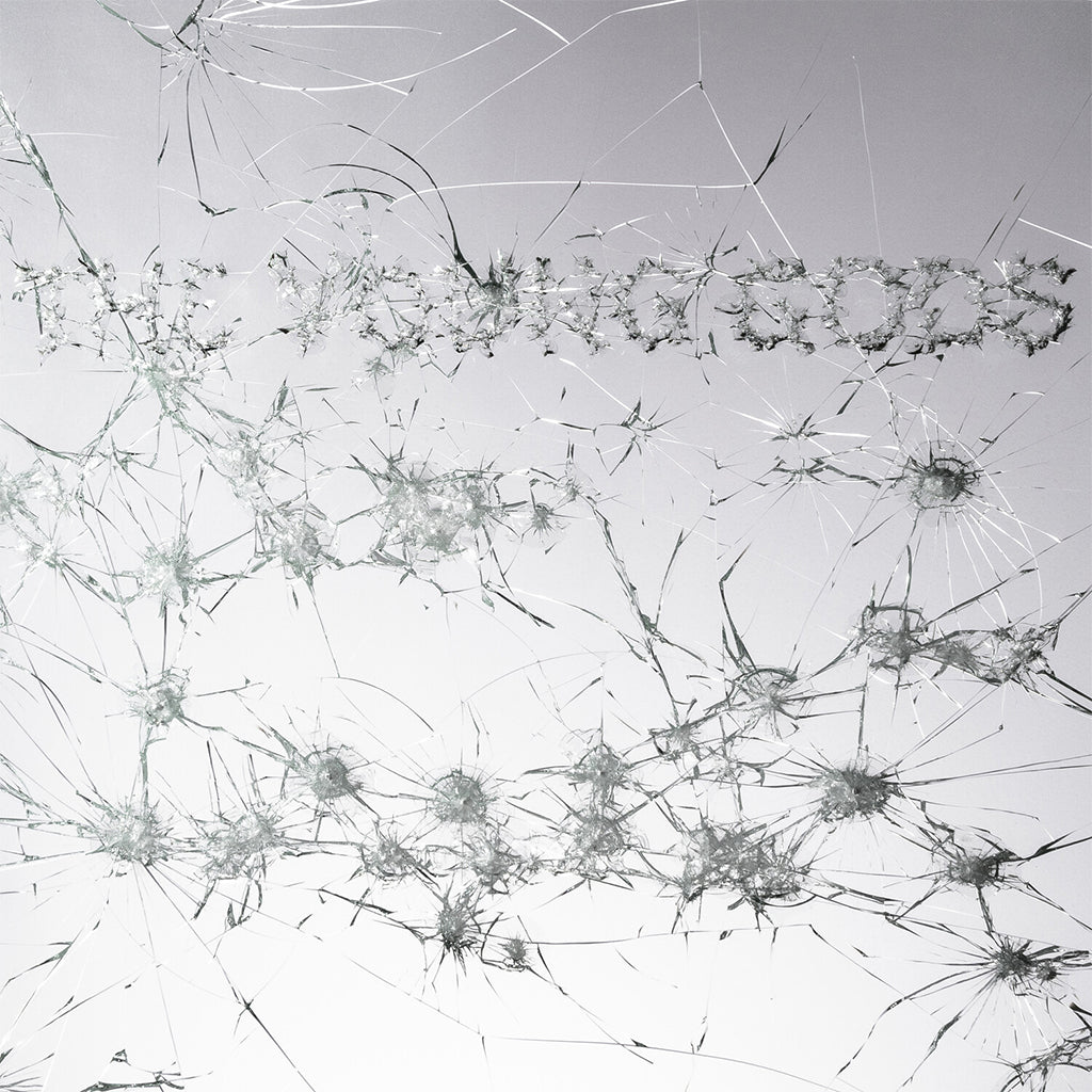 THE YOUNG GODS - Appear Disappear - LP - Black Vinyl + Bonus CD [JUN 13]