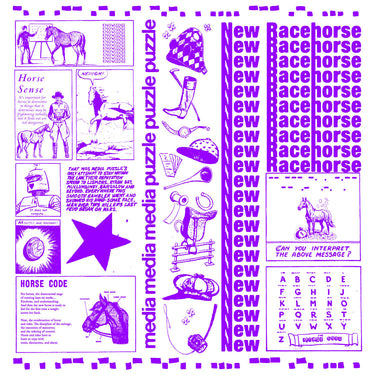 MEDIA PUZZLE - NEW RACEHORSE