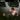 Chat Pile - Masks