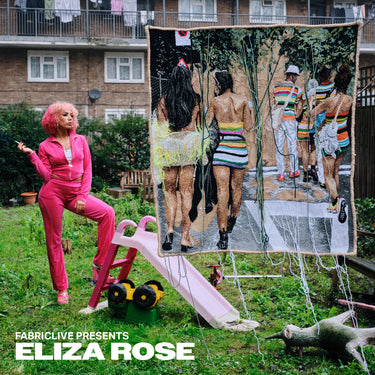 Vinyl 2LP