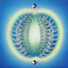 Asian Spice House - Cosmic Rowers [Japanese Import]