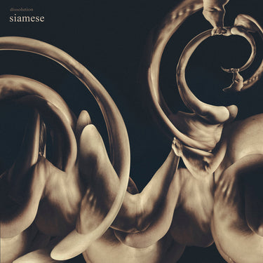 Siamese - dissolution