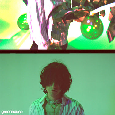 aldn - greenhouse (Repress) - 12'' EP - Green Vinyl