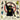 LUKE HAINES - Izzy Wizzy Let'S Get Bizzy
