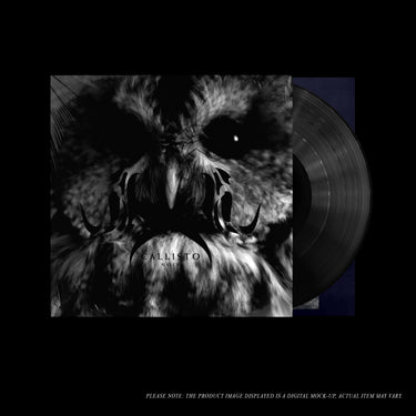 Black Vinyl LP