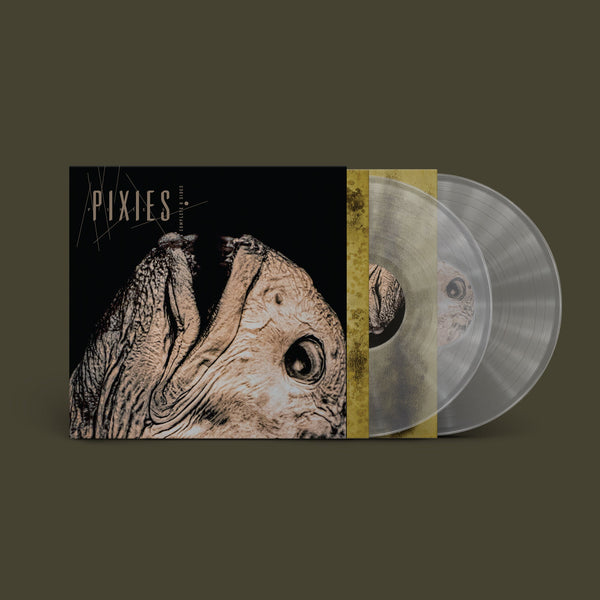 Pixies - Complete B Sides: 1988-97 (Remastered) – Spindizzy Dublin Pixies - Complete B Sides: 1988-97 (Remastered) – Spindizzy Dublin