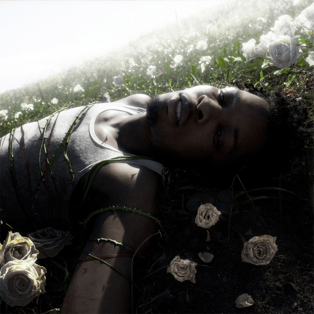 d4vd - Withered - CD [APR 25]