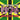 Various Artists - The British Reggae Scene 1976 Sipple Out Deh!