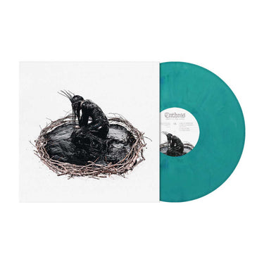 Green & Blue Marbled Vinyl LP