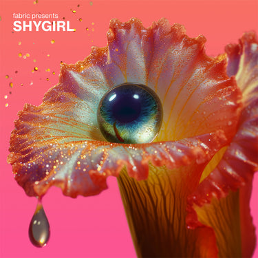 VARIOUS - fabric presents: Shygirl - CD