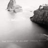 Contemporaneous & David Bloom - Dylan Mattingly: The Wild Heart