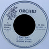 Junior Byles/The Upsetters - Longer Way/Long Way