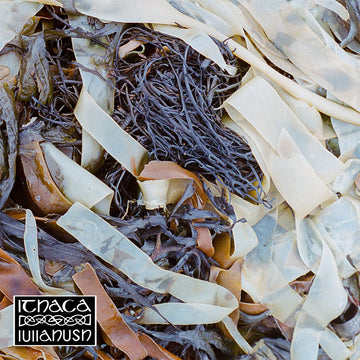 LULLAHUSH - Ithaca - LP - Vinyl [APR 18]