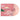 mt. fujitive - sanctuary (Reissue) - LP - Pink Vinyl [MAY 23]