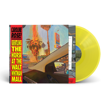 'Potato Chip Yellow' Vinyl LP & Entry - €35.99