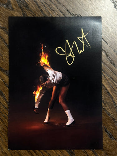 ST. VINCENT - All Born Screaming - LP - Black Vinyl