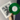 Limited Edition Transparent Green 7 Inch Vinyl