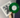Limited Edition Transparent Green 7 Inch Vinyl