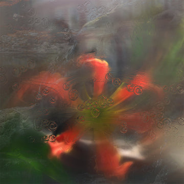 upsammy - Germ In A Population Of Buildings - LP - Vinyl