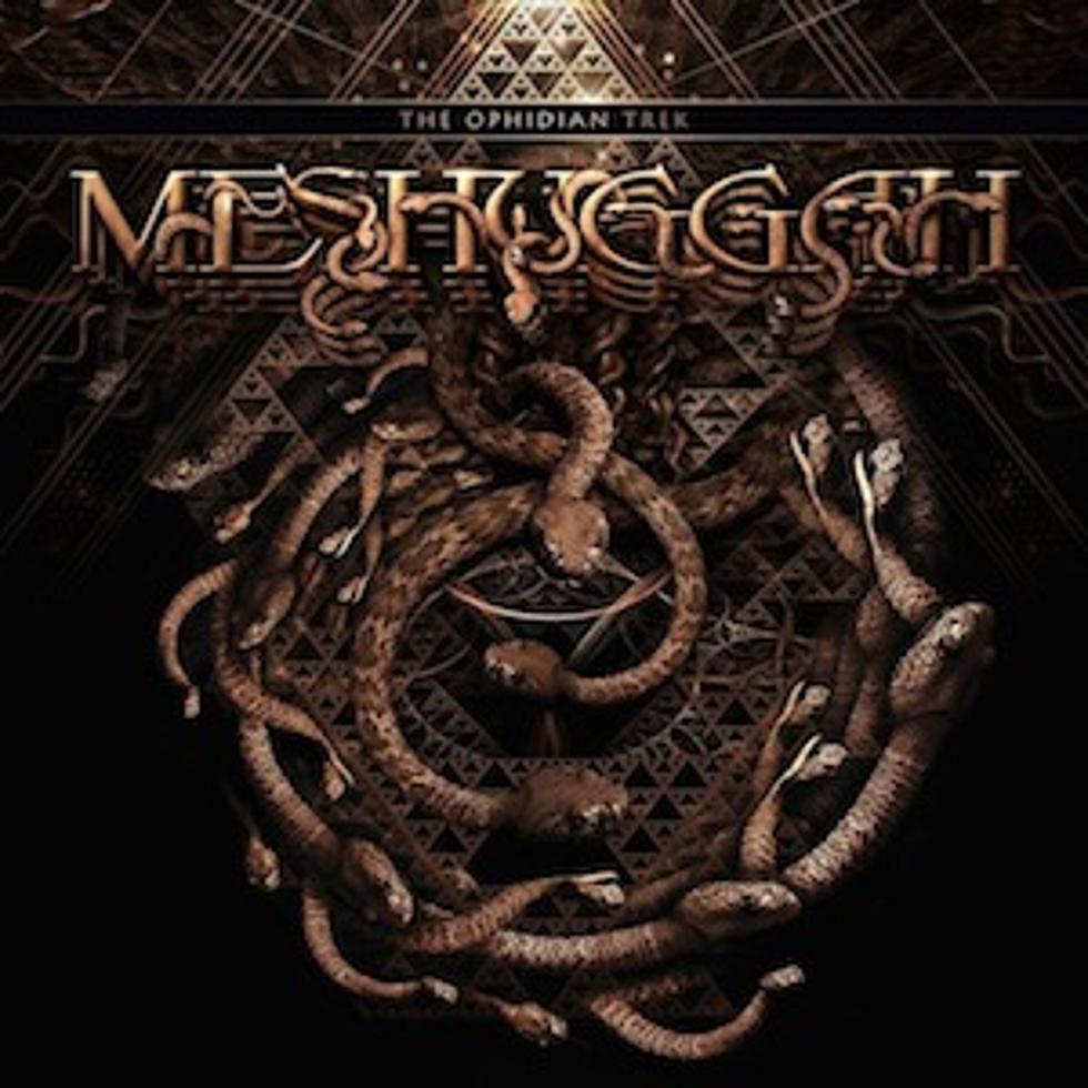 MESHUGGAH - The Ophidian Trek - 2LP - Vinyl