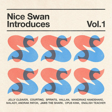 VARIOUS - Nice Swan Introduces Vol. 1 - LP - Vinyl