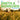 SMITH & BURROWS - Only Smith & Burrows Is Good Enough - LP - Vinyl