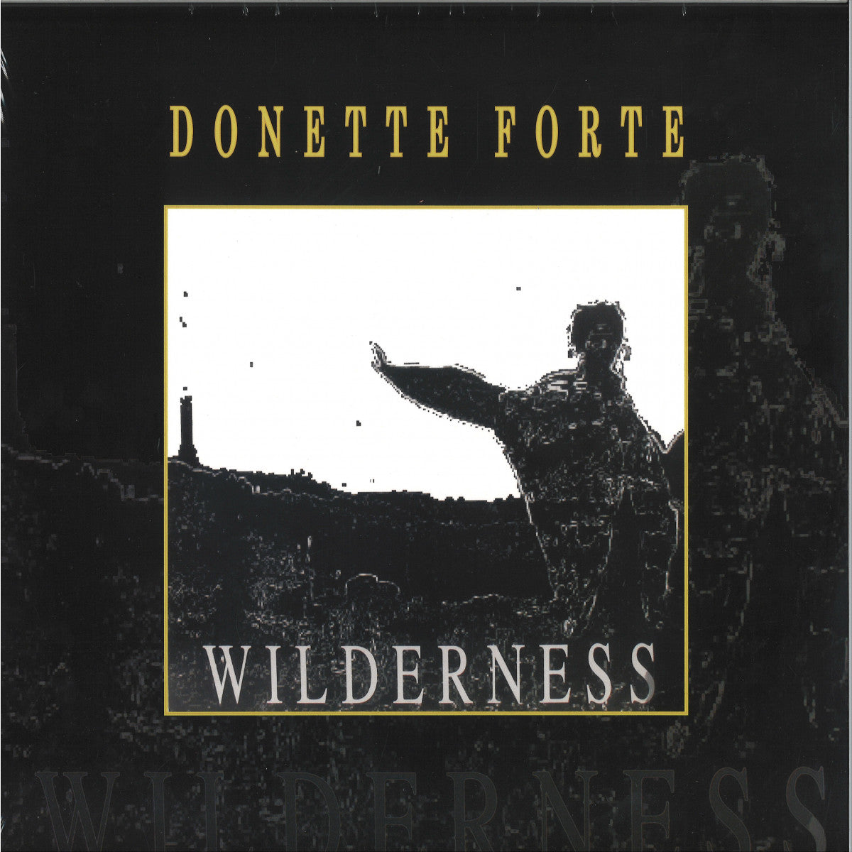 DONETTE FORTE - Wilderness - LP - Vinyl