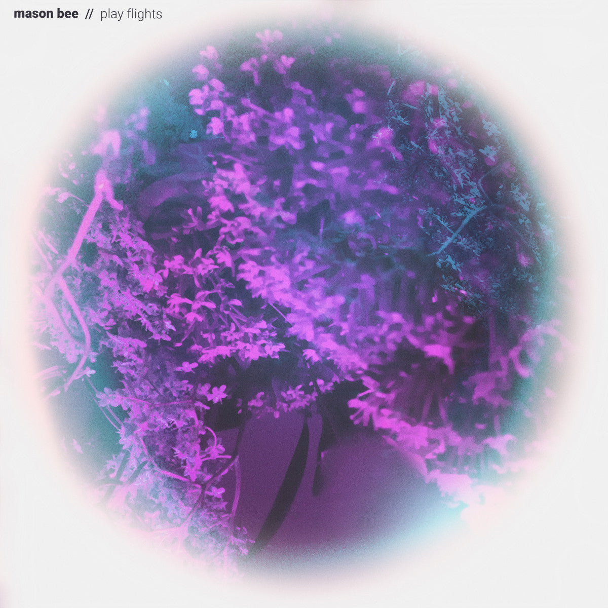 MASON BEE - Play Flights - LP - Vinyl