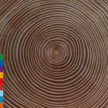 AMJAD ALI KHAN - Moksha - 2LP - Vinyl