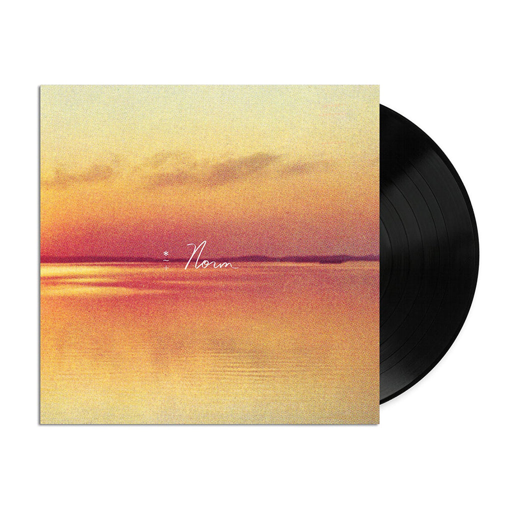 ANDY SHAUF - Norm - LP - Black Vinyl [FEB 10]