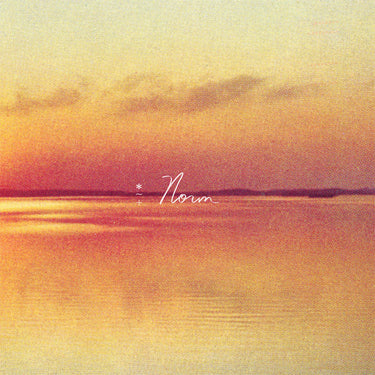 ANDY SHAUF - Norm - LP - Eco-Mix Vinyl