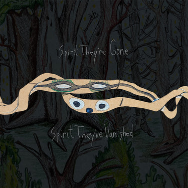 ANIMAL COLLECTIVE - Spirit They’re Gone, Spirit They've Vanished (Remastered 2023 / Expanded) - Gatefold 2CD [MAY 12]