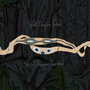 ANIMAL COLLECTIVE - Spirit They’re Gone, Spirit They've Vanished (Remastered 2023 w/ Bonus DL Tracks) - 2LP - Gatefold Grass Green Vinyl