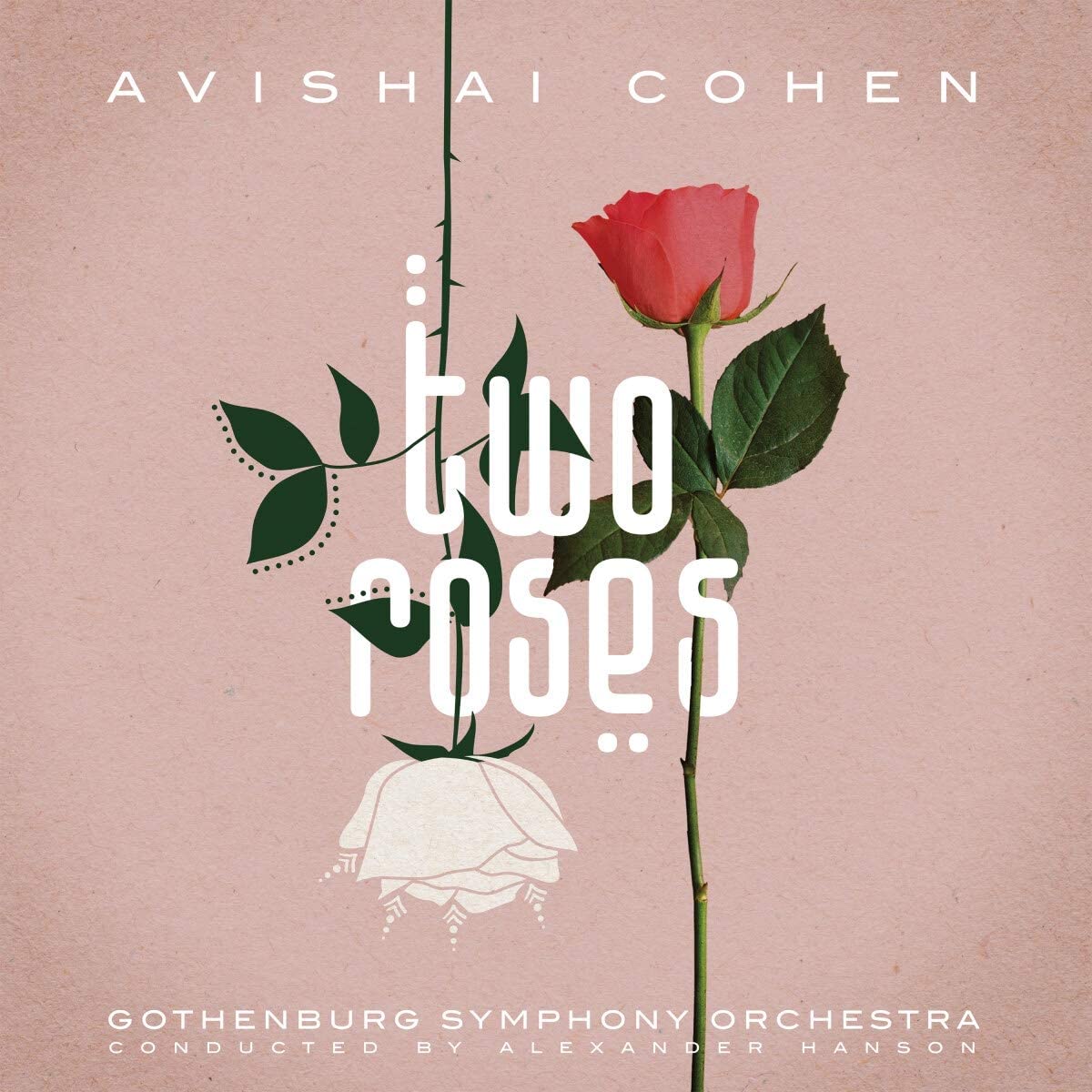 AVISHAI COHEN - Two Roses - 2LP - 180g Vinyl