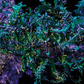 BEN FROST - Broken Spectre - 2LP - Deluxe Gatefold 180g Vinyl