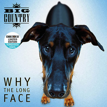 BIG COUNTRY - Why The Long Face - 1 LP - Tourquoise Vinyl [RSD 2024]