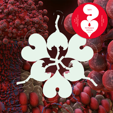 BJORK - Ovule (Sega Bodega Remix) / Atopos (sideproject Remix) - 12" - Crystal Clear Vinyl [RSD23]