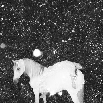 BLACK LIPS - Apocalypse Love - LP - Black Vinyl