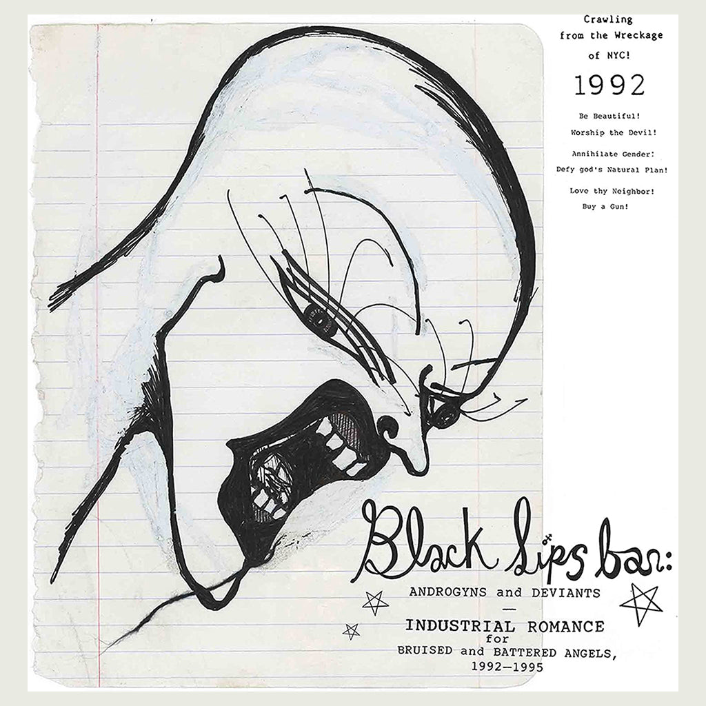 VARIOUS - Blacklips Bar: Androgyns And Deviants: Industrial Romance For Bruised And Battered Angels 1992–1995 - 2LP - Vinyl